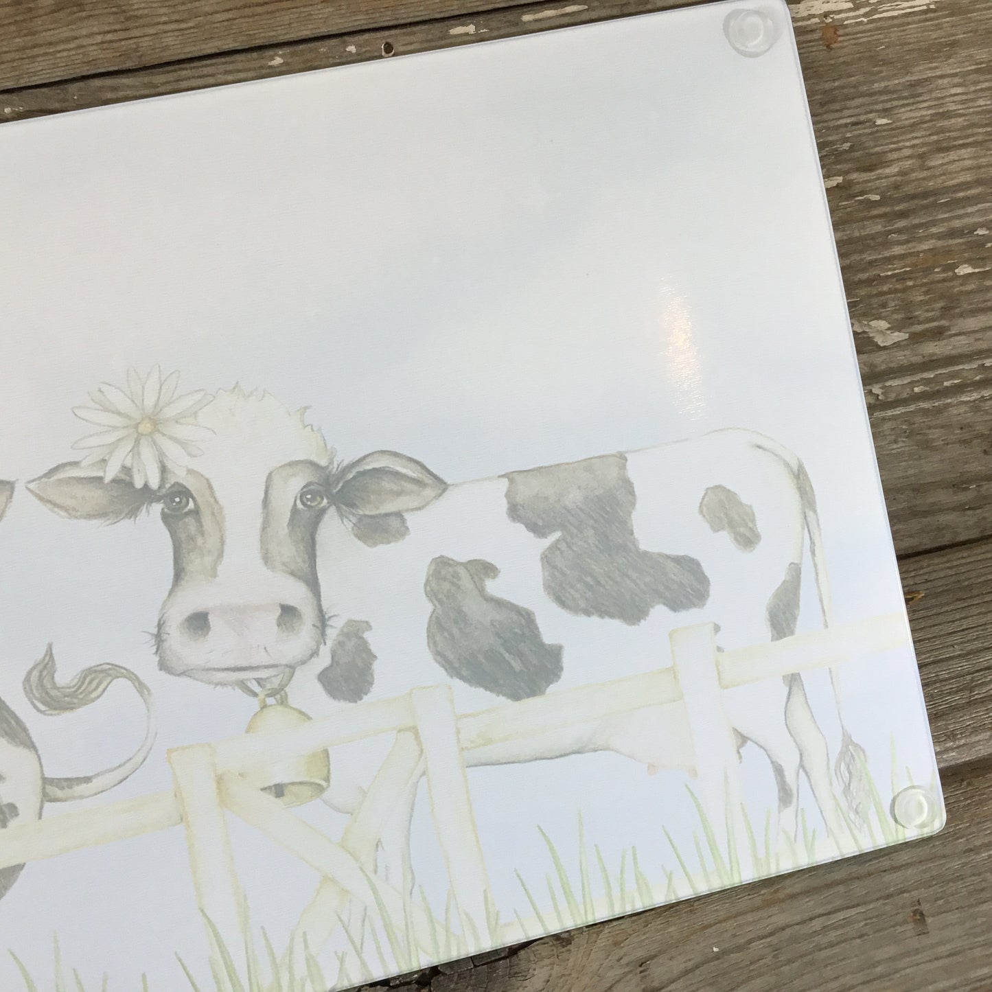 Holstein Cow Friends Glass Cutting Board