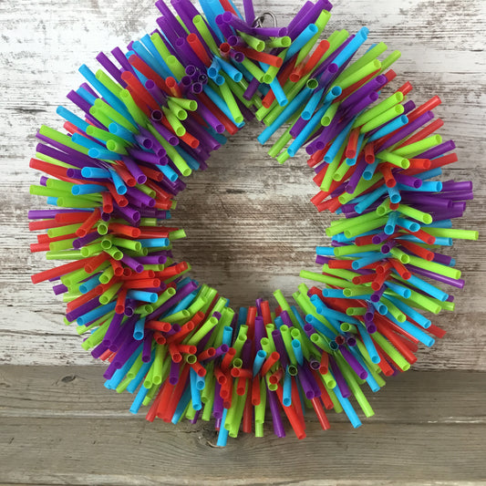 Silly Sid Straw Wreath Large Bird Toy