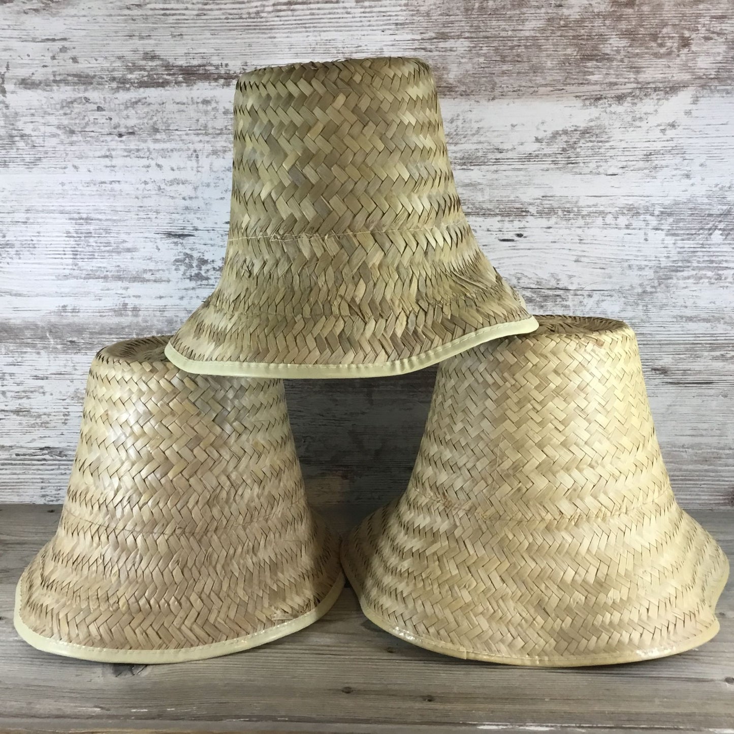 3 Vintage Woven Rattan Baskets Plastic Lined Flower Baskets Plant Baskets