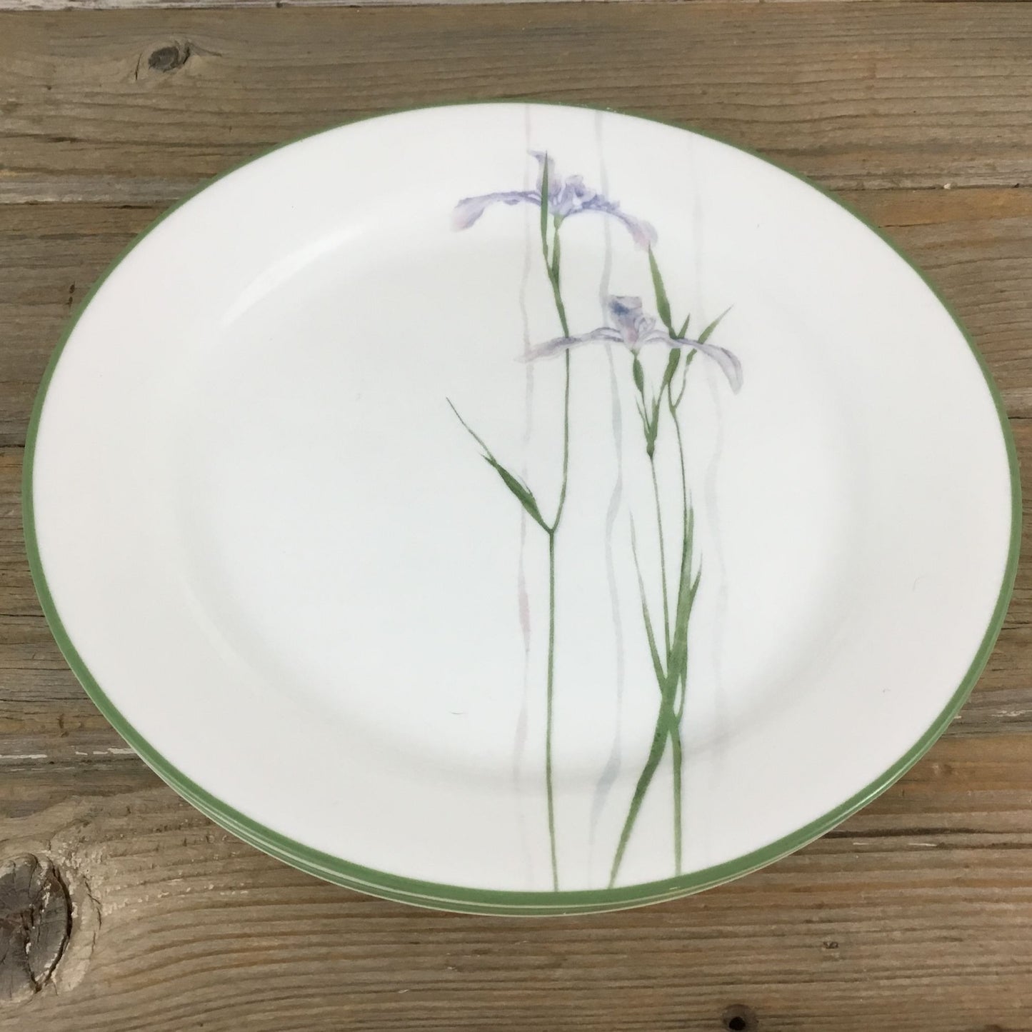 Set of 4 Corelle Shadow Iris Luncheon Plates Purple Flowers Green Rim 9"