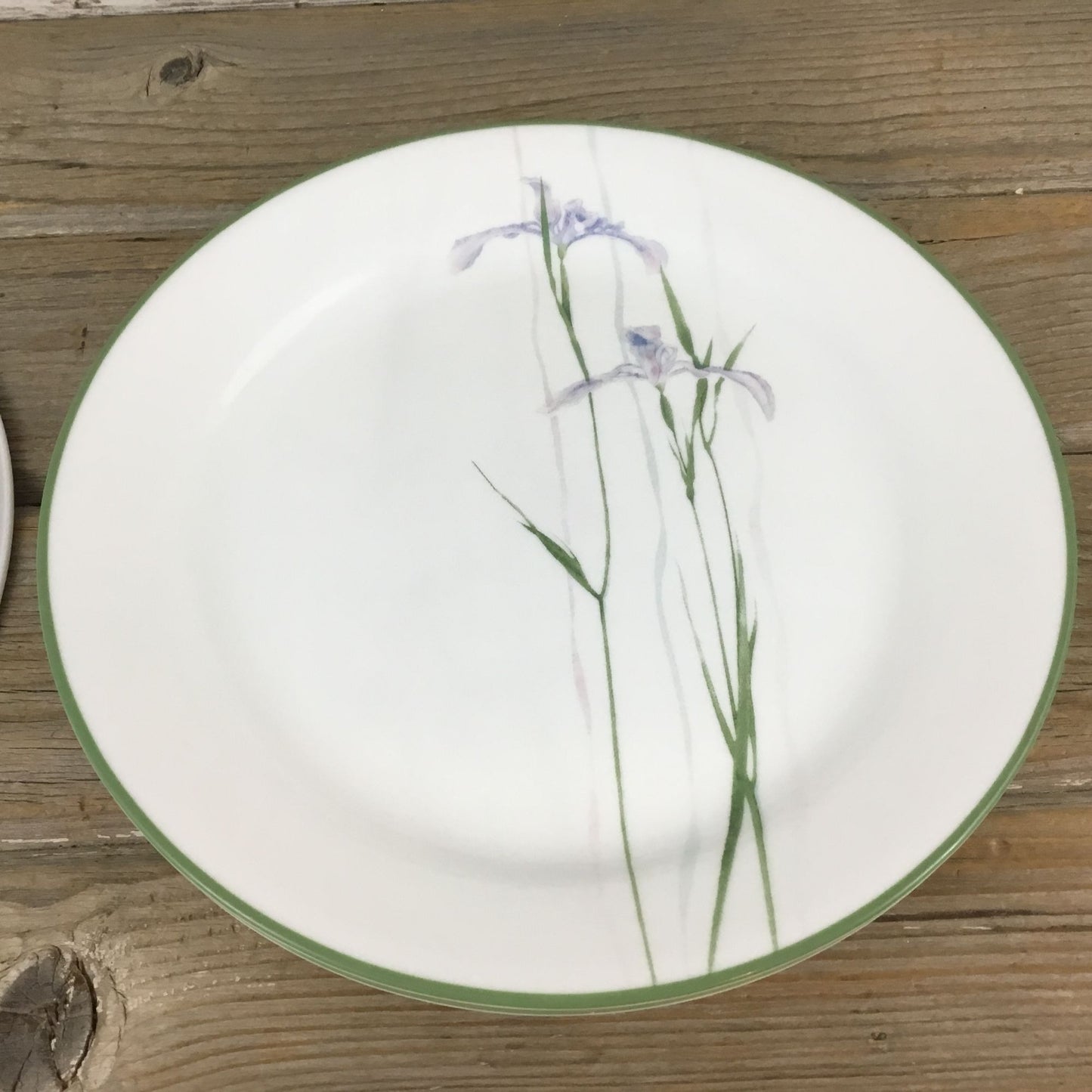 Set of 4 Corelle Shadow Iris Luncheon Plates Purple Flowers Green Rim 9"