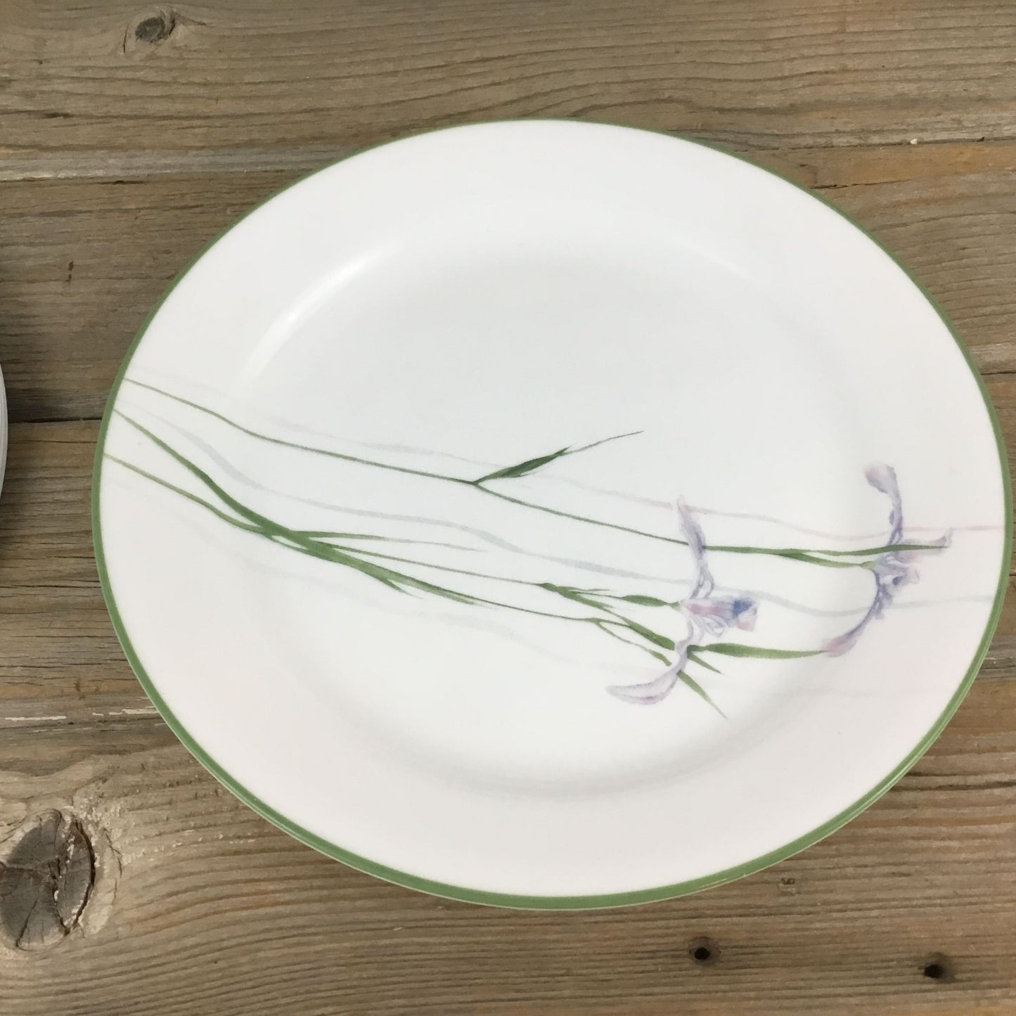 Set of 4 Corelle Shadow Iris Luncheon Plates Purple Flowers Green Rim 9"