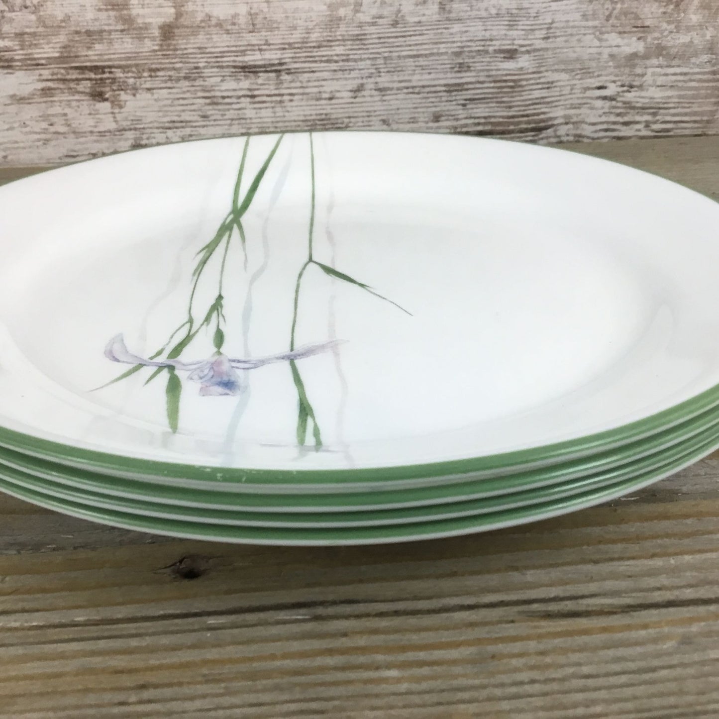 Set of 4 Corelle Shadow Iris Luncheon Plates Purple Flowers Green Rim 9"