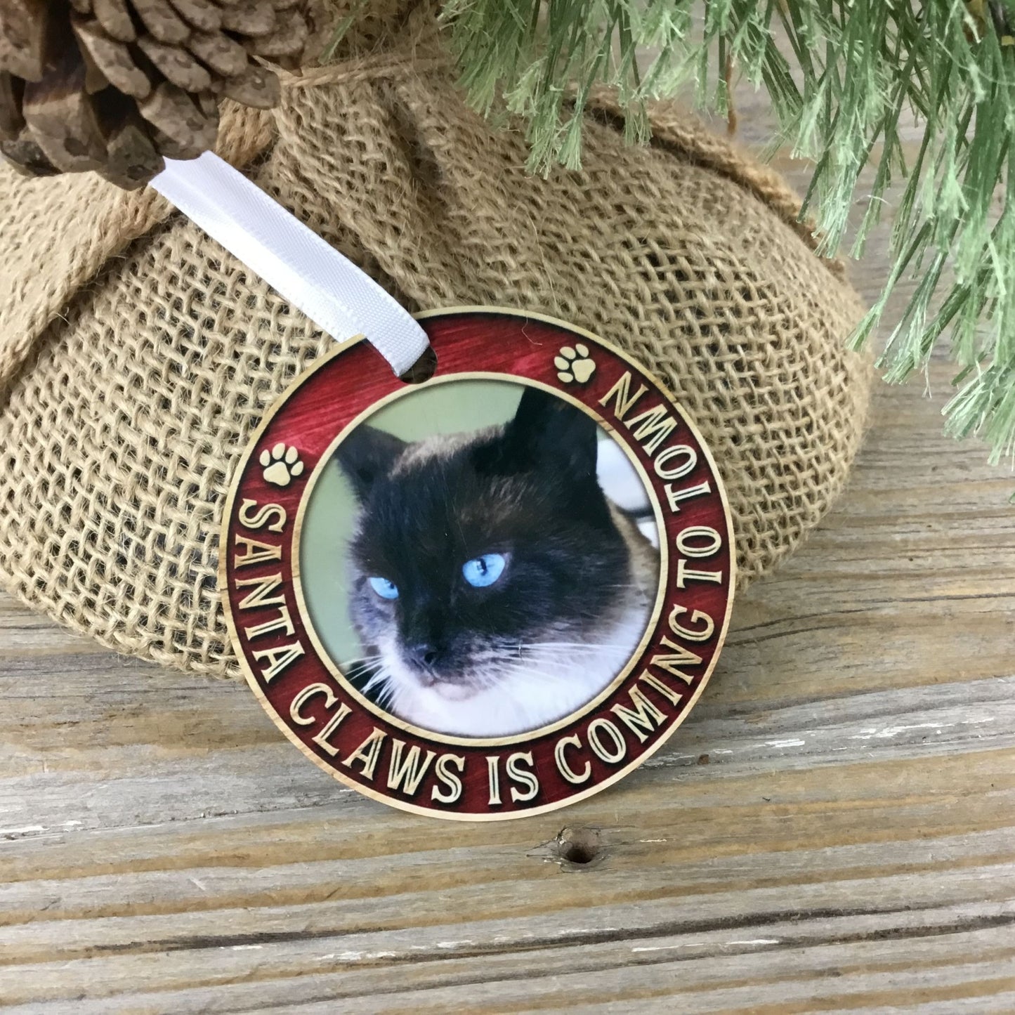 Santa Claws is Coming to Town Cat Picture Christmas Ornament