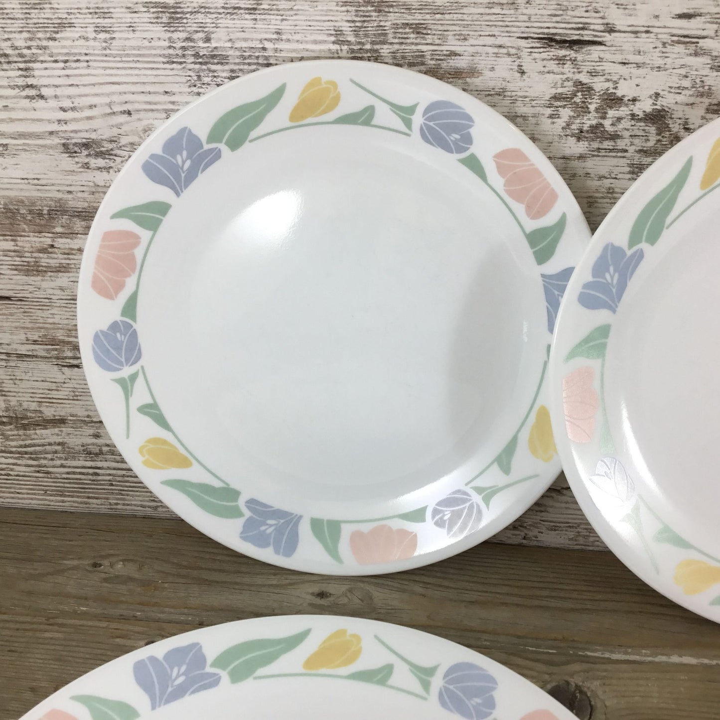 Set Of 6 Corelle Friendship Dinner Plates 10 1/4" Floral Pastel Pattern