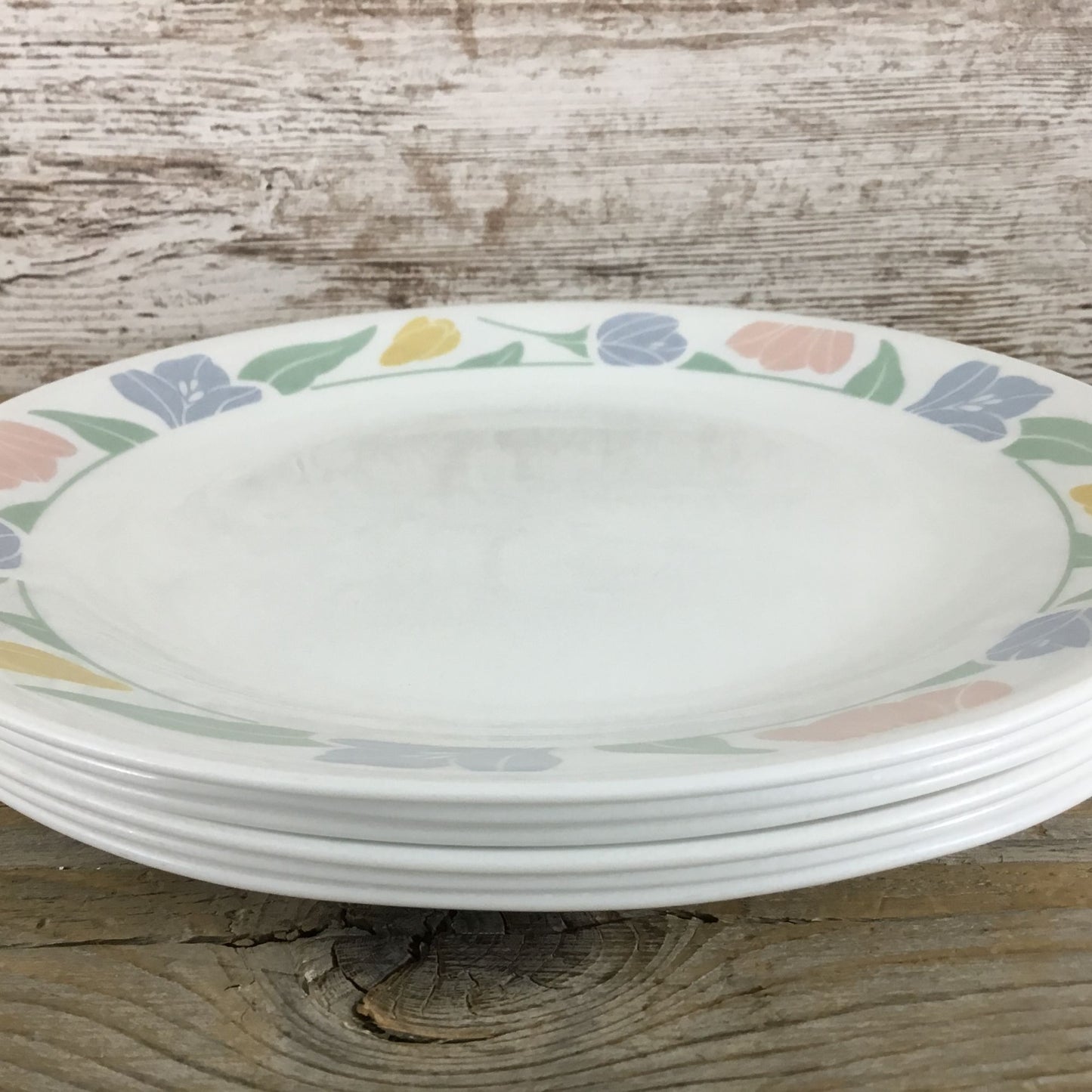 Set Of 6 Corelle Friendship Dinner Plates 10 1/4" Floral Pastel Pattern