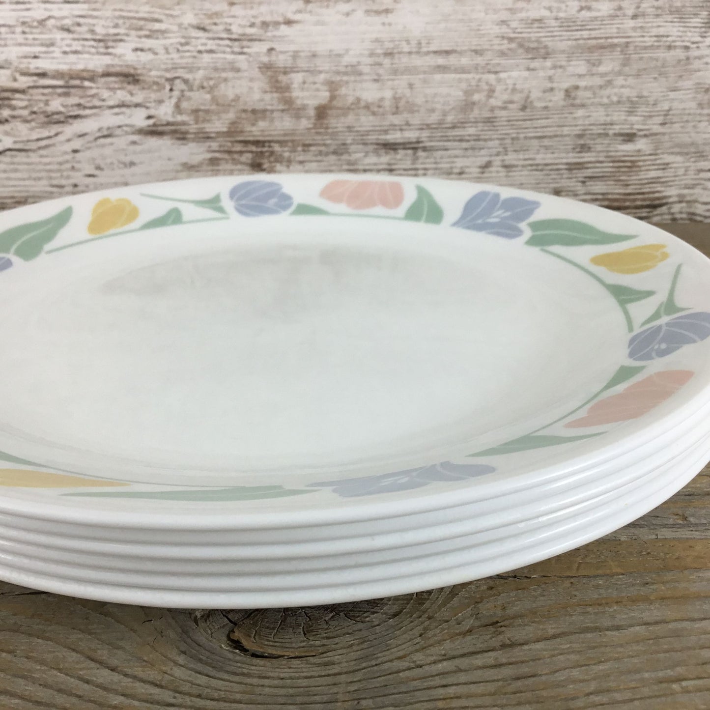 Set Of 6 Corelle Friendship Dinner Plates 10 1/4" Floral Pastel Pattern