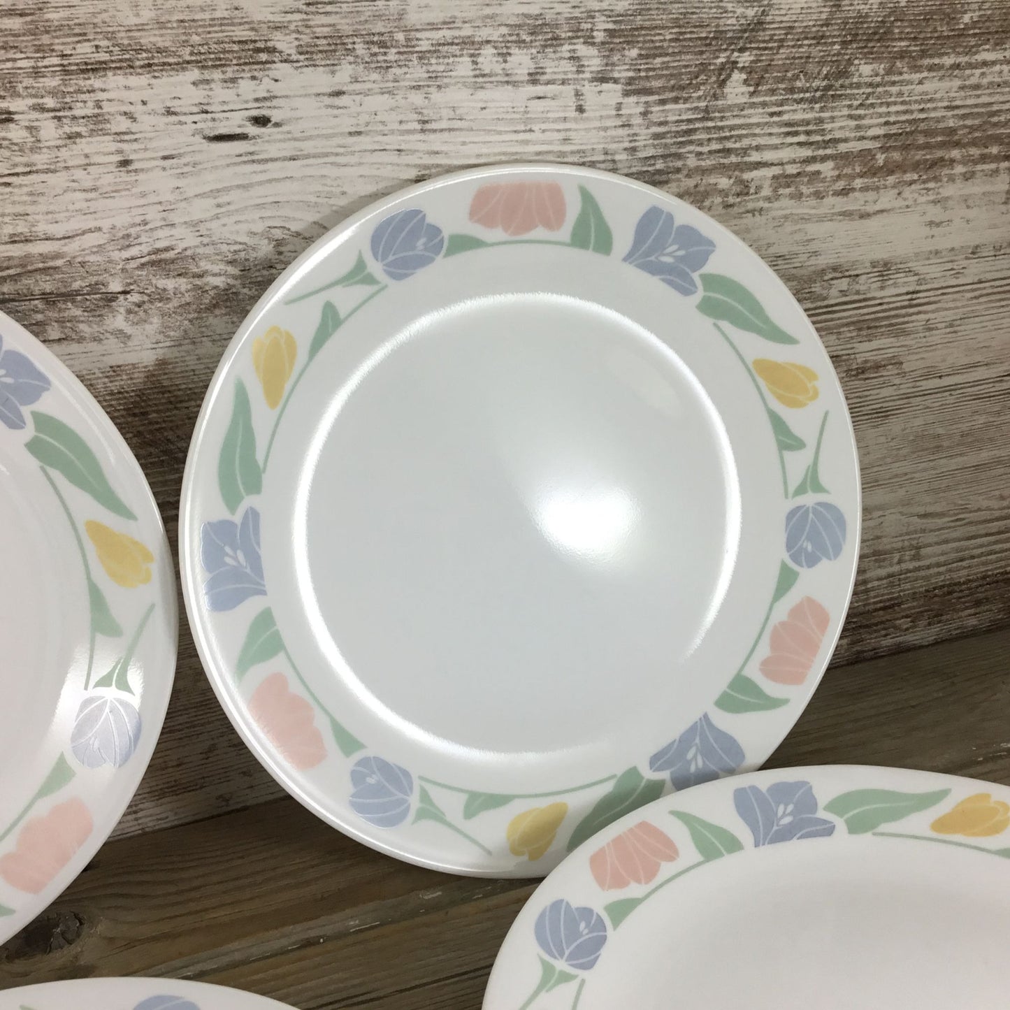 Set Of 6 Corelle Friendship Dinner Plates 10 1/4" Floral Pastel Pattern