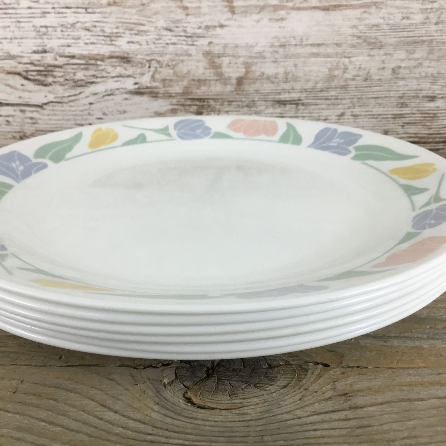 Set Of 6 Corelle Friendship Dinner Plates 10 1/4" Floral Pastel Pattern