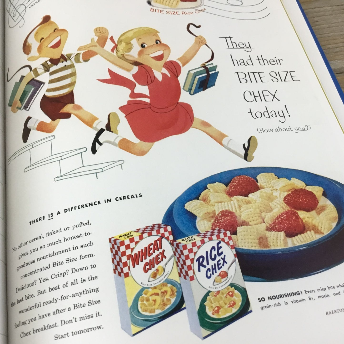The Breakfast Cereal Gourmet By David Hoffman Cookbook 2005 Hardcover