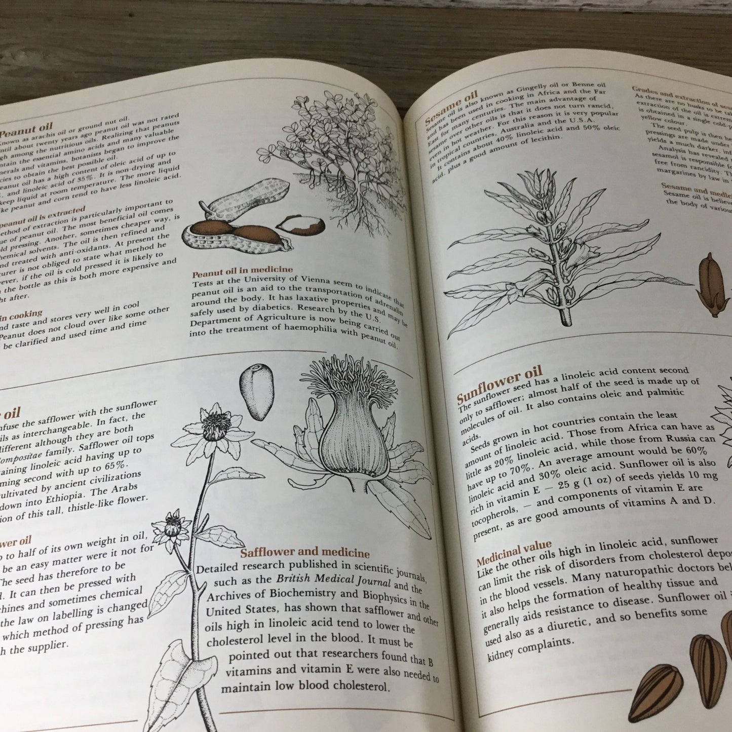 The Natural Food Catalog Hardcover Book By Vicki Peterson 1978