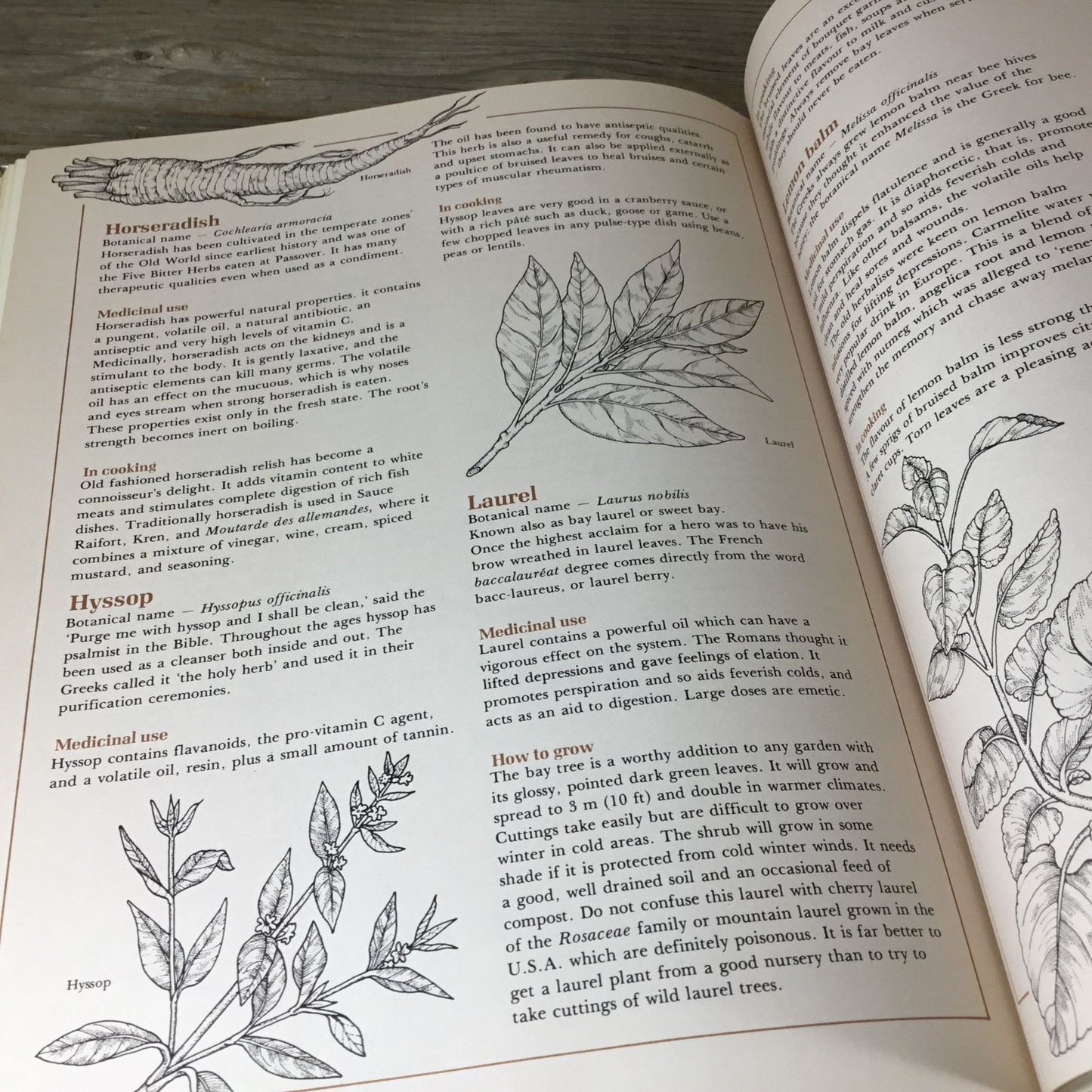 The Natural Food Catalog Hardcover Book By Vicki Peterson 1978