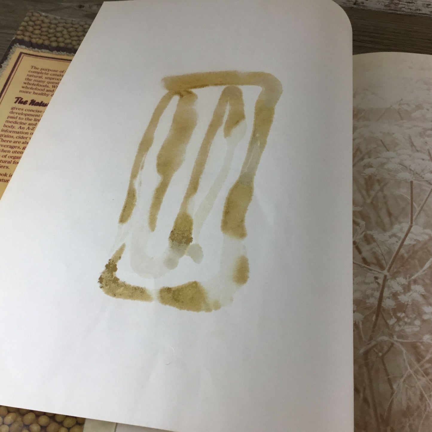 The Natural Food Catalog Hardcover Book By Vicki Peterson 1978