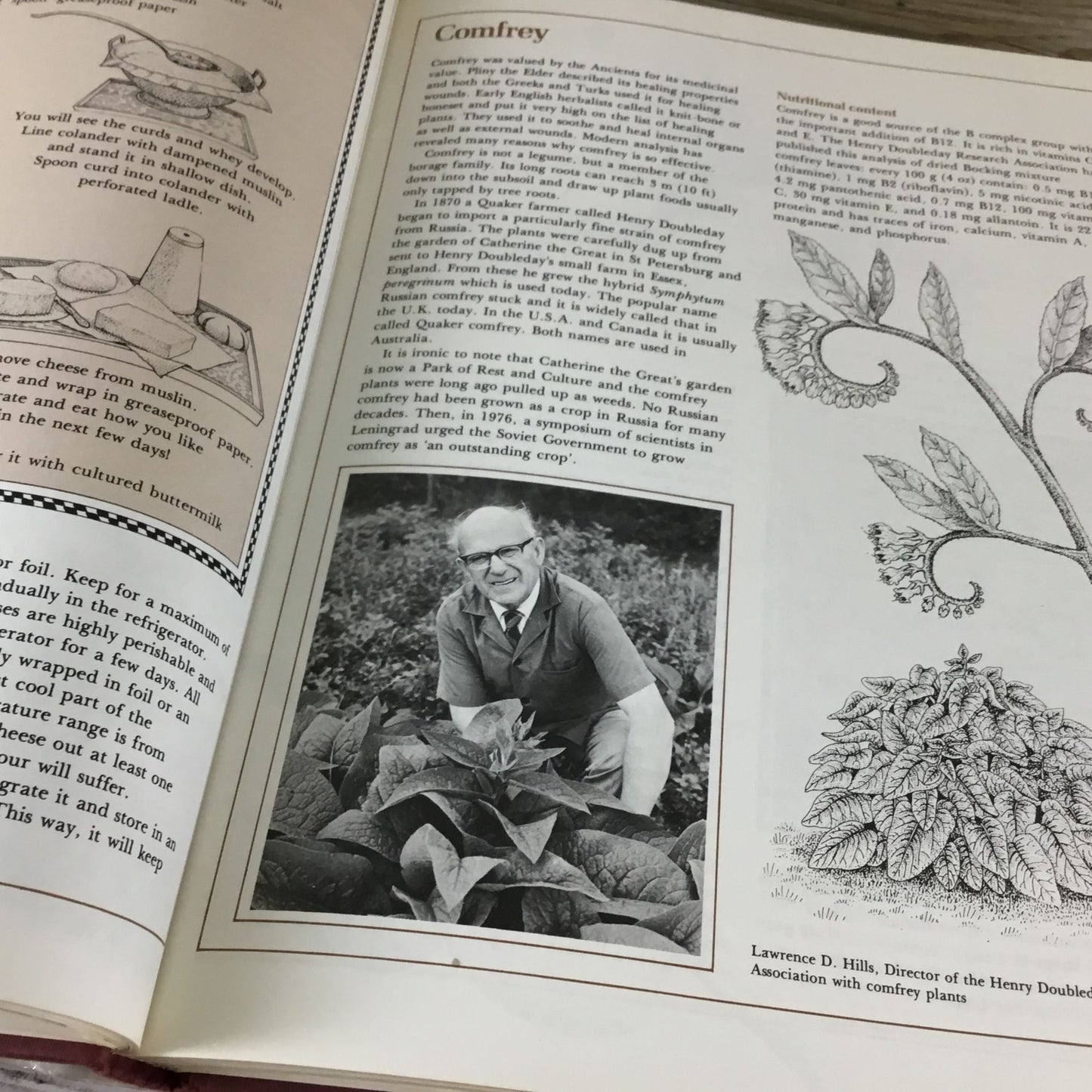 The Natural Food Catalog Hardcover Book By Vicki Peterson 1978