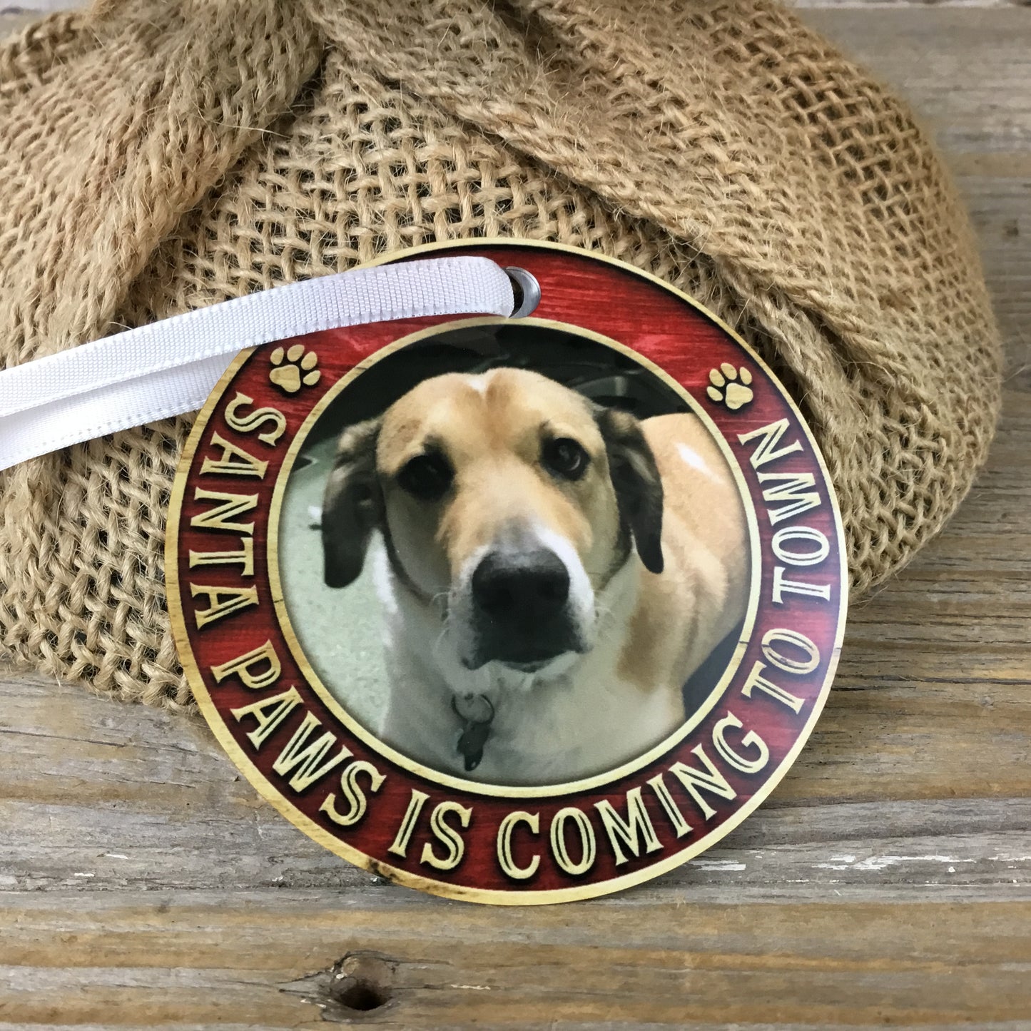 Santa Paws is Coming to Town Dog Picture Christmas Ornament