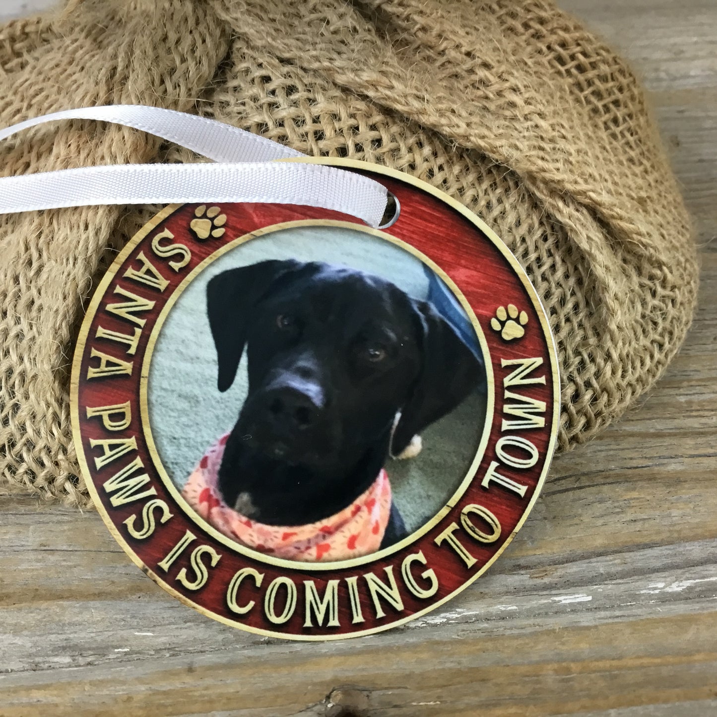 Santa Paws is Coming to Town Dog Picture Christmas Ornament