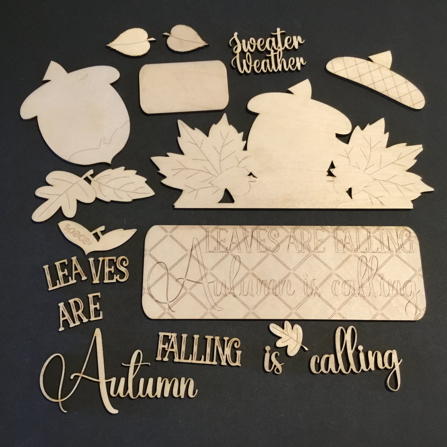 Autumn Leaves Insert for Interchangeable Farmhouse Truck DIY Paint Kit