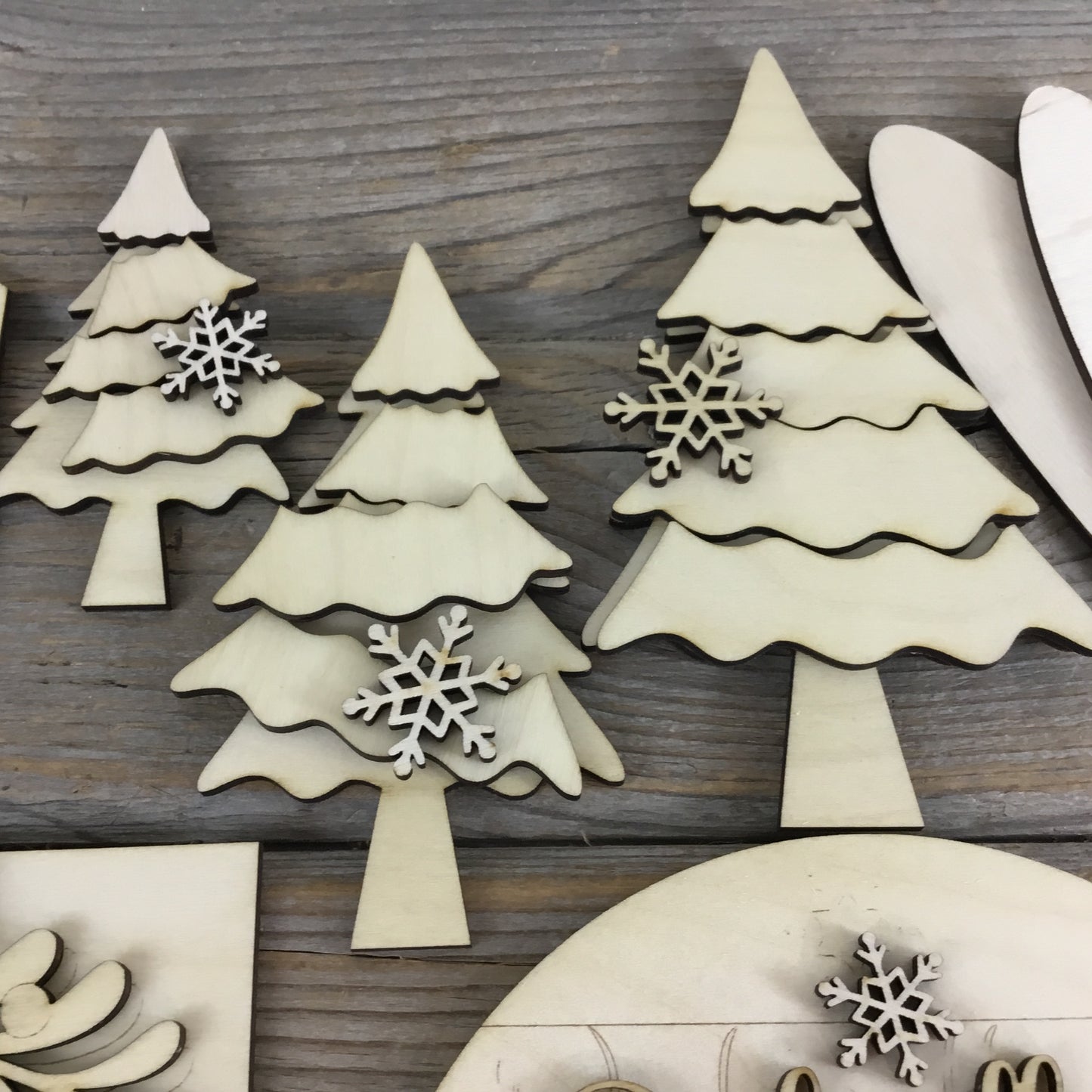 Mistletoe Winter Tiered Tray Wood Blanks DIY Decor Set