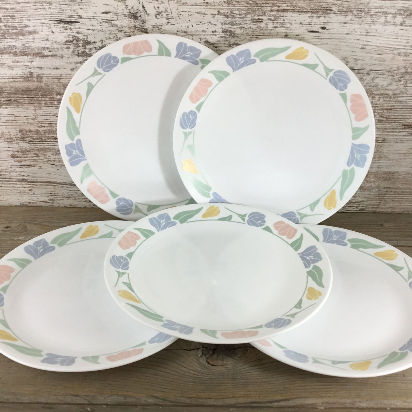 Set Of 5 Corelle Friendship Dinner Plates 10 1/4"