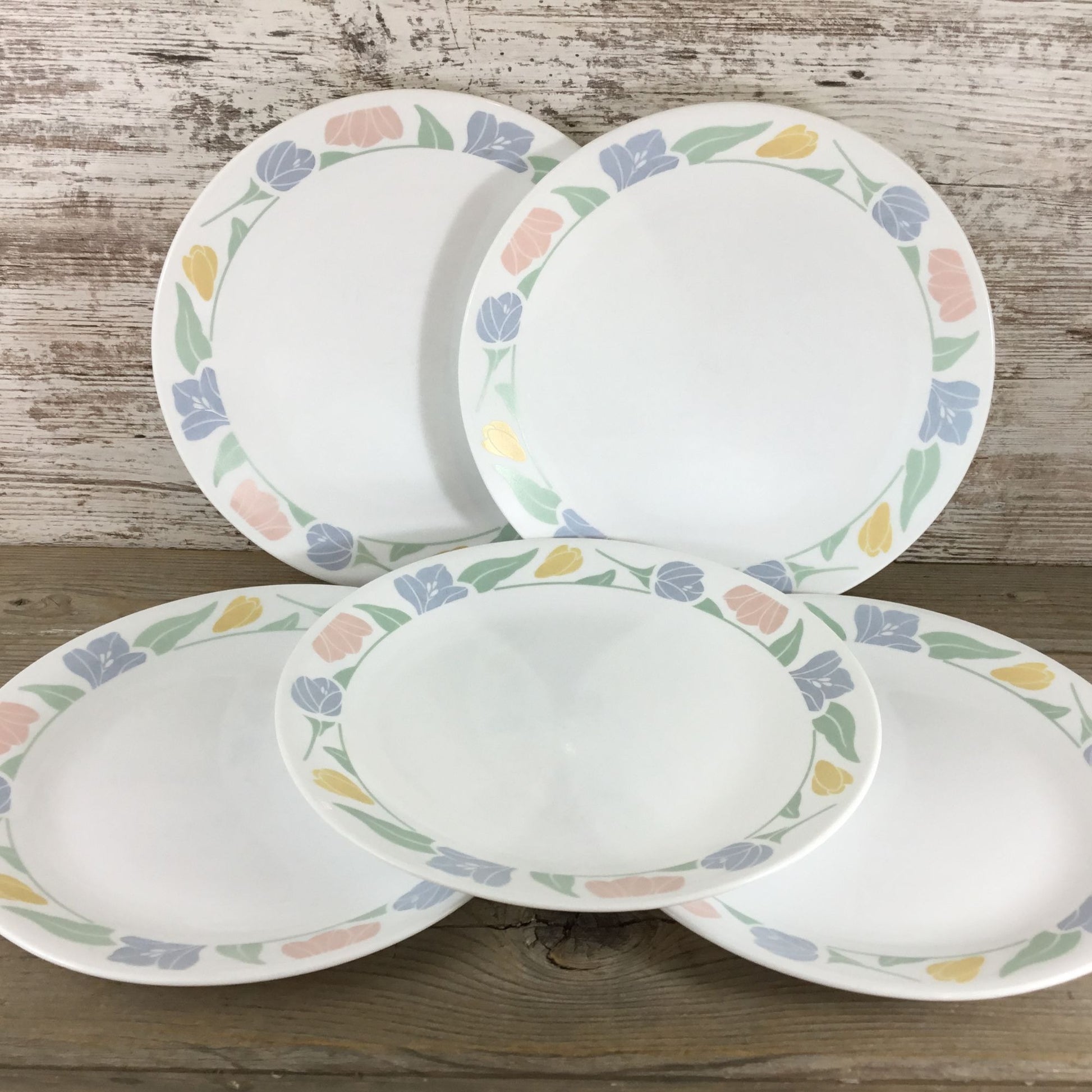 Set Of 5 Corelle Friendship Dinner Plates 10 1/4"