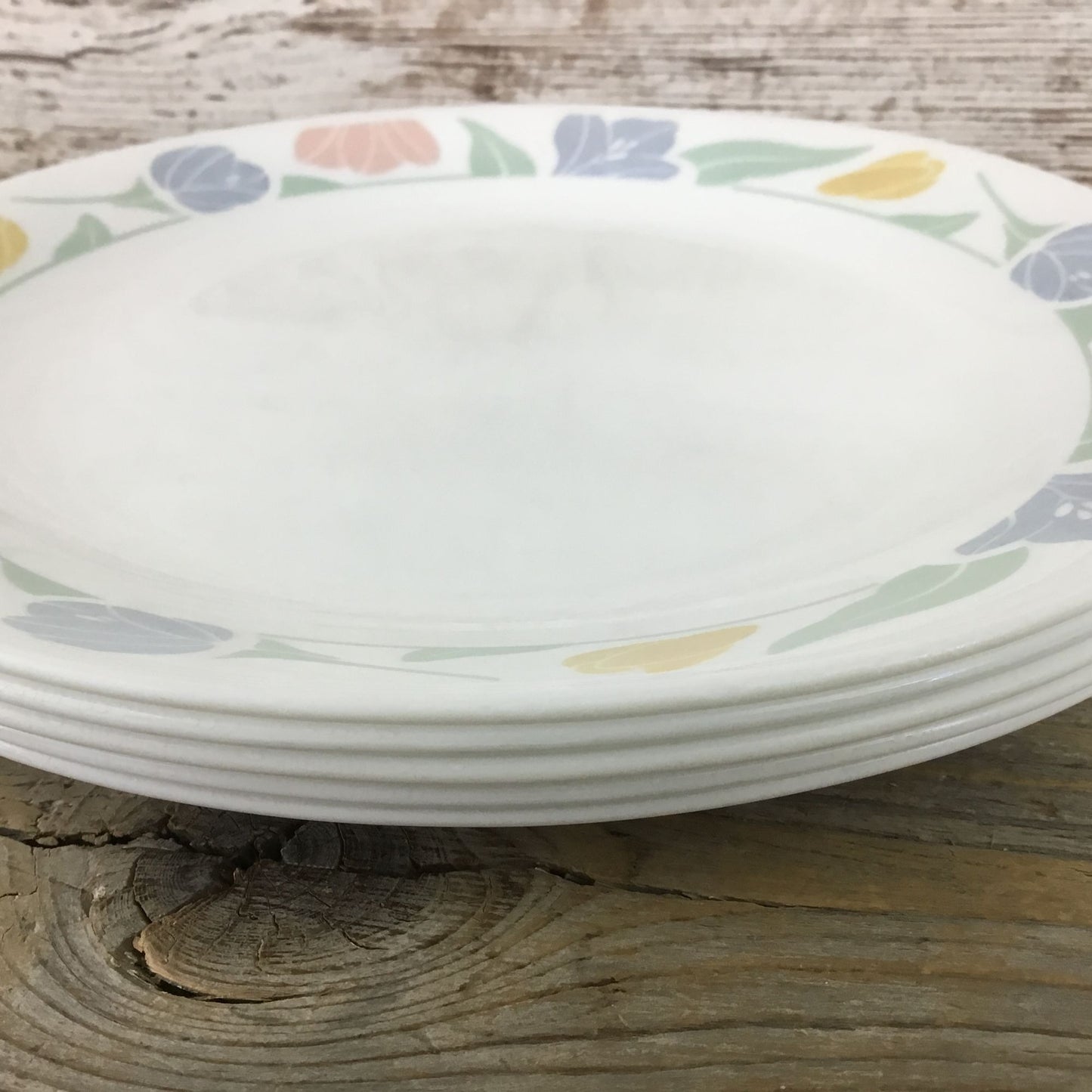 Set Of 5 Corelle Friendship Dinner Plates 10 1/4" Floral Pastel Pattern