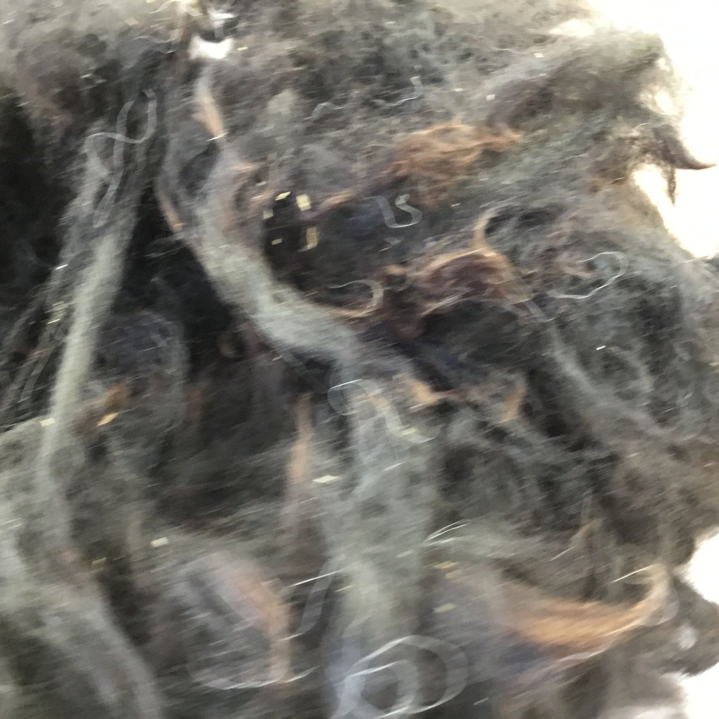 Black Natural Alpaca Bird Nesting Crafting Fiber - 1 Gallon Bag Uncleaned