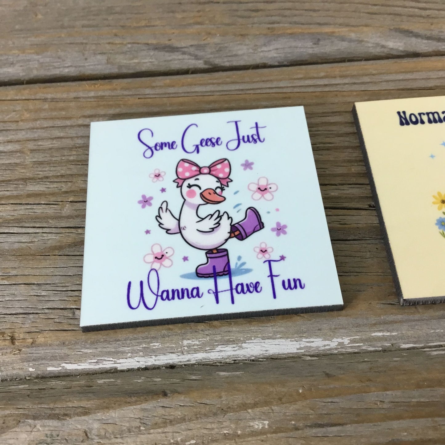 Set of 3 Goose Themed Magnets,  Funny & Vintage Designs