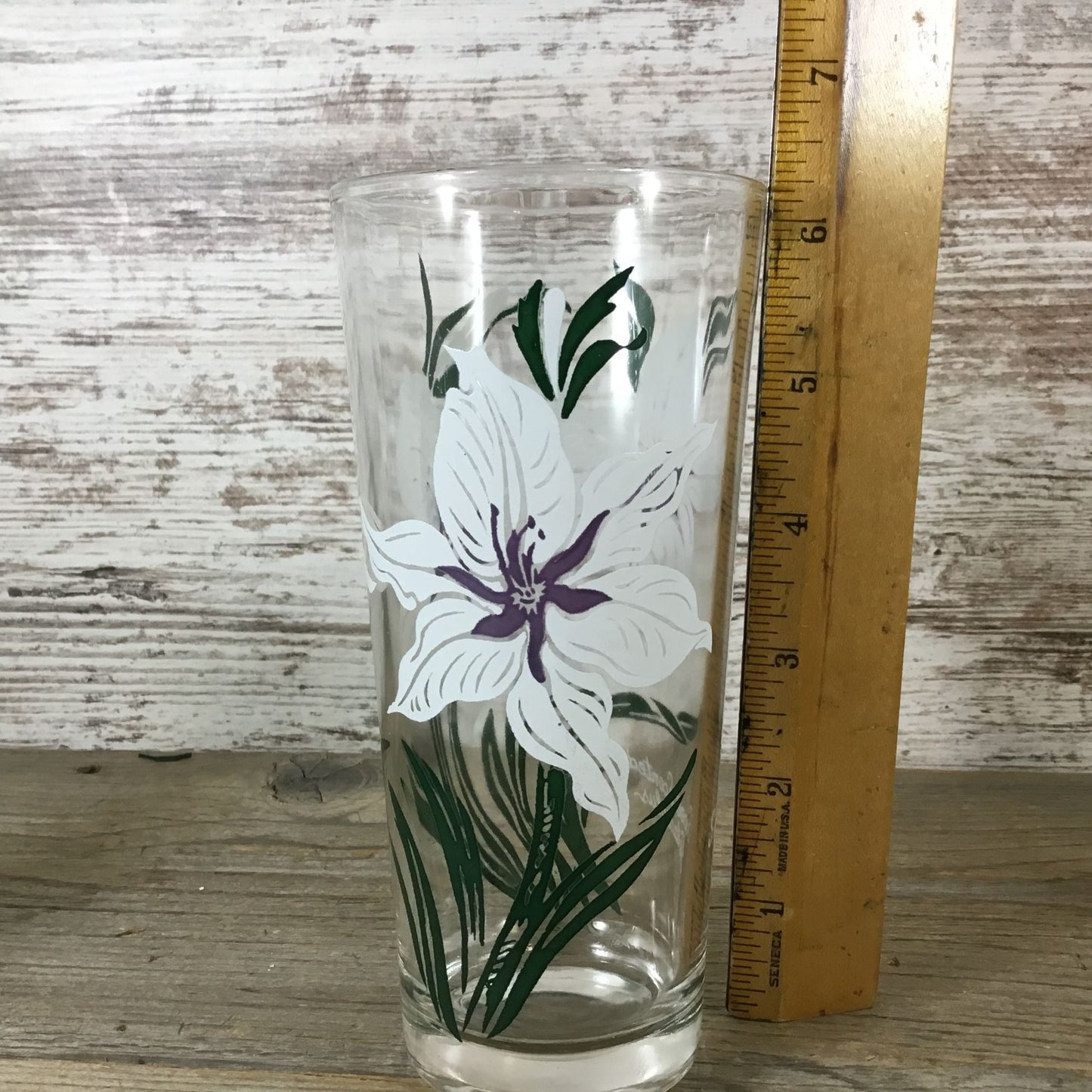 Vintage Boscul Peanut Butter Glass Sweet Scented Gladiolus 6 1/4" Iced Tea Glass