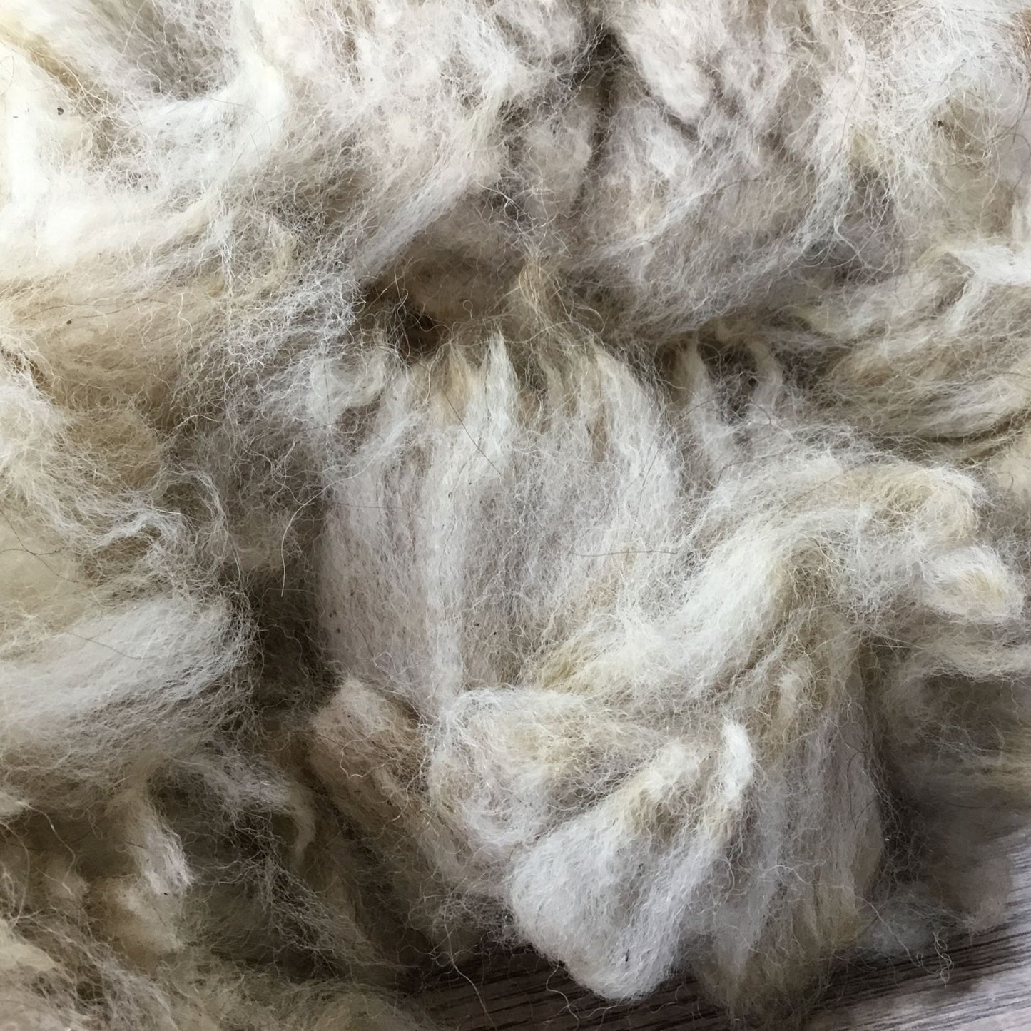White/Fawn Natural Alpaca Bird Nesting Crafting Fiber - 1 Gallon Bag Uncleaned