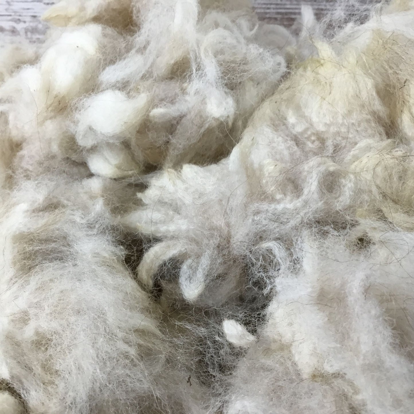 White/Fawn Natural Alpaca Bird Nesting Crafting Fiber - 1 Gallon Bag Uncleaned