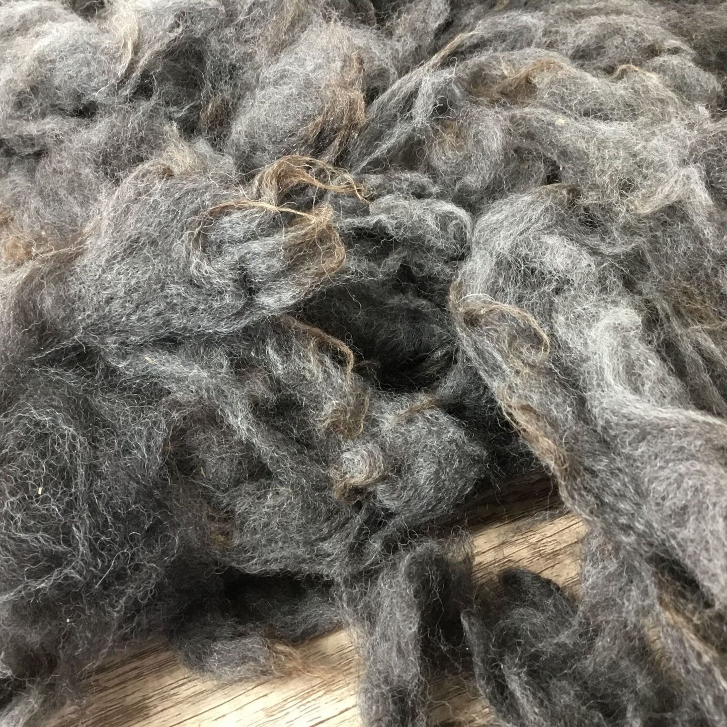 Gray Natural Alpaca Bird Nesting Crafting Fiber - 1 Gallon Bag Uncleaned