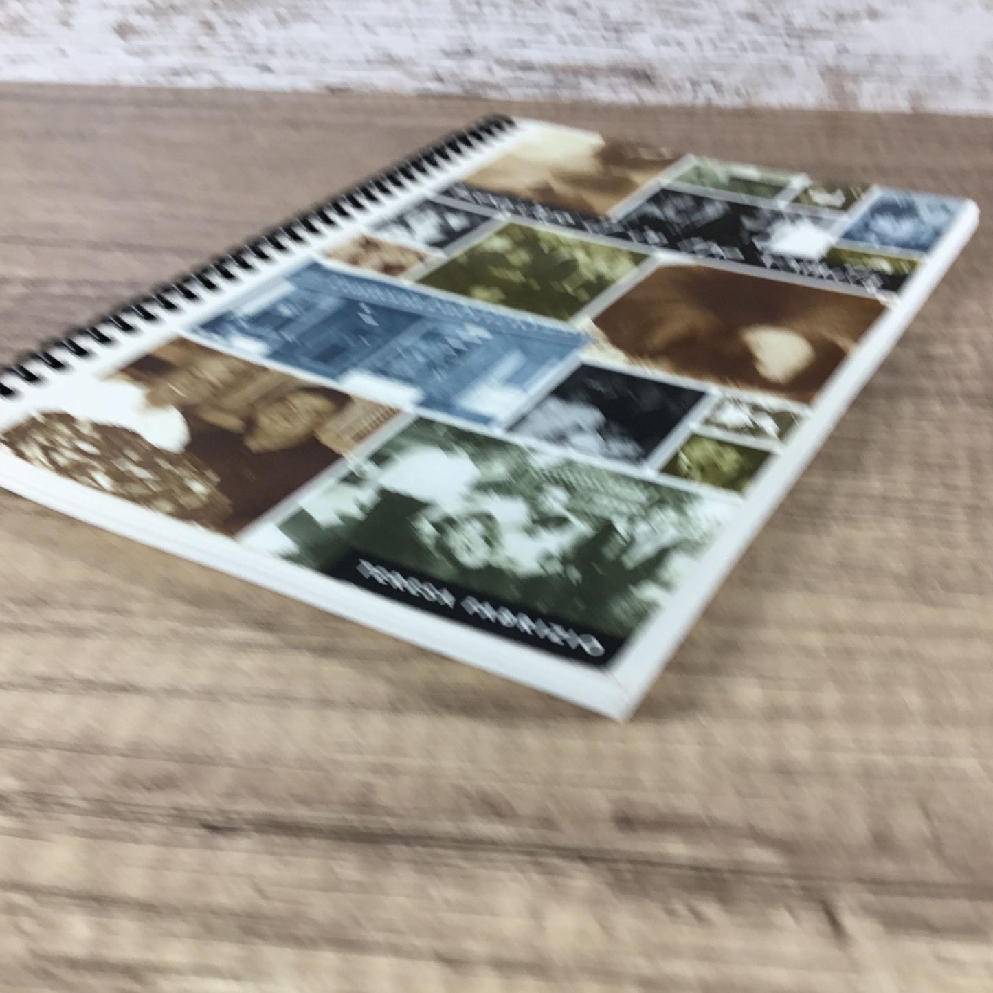 Keeping It In The Family Spiral-Bound Cookbook By Teresa Fabrizio 2008
