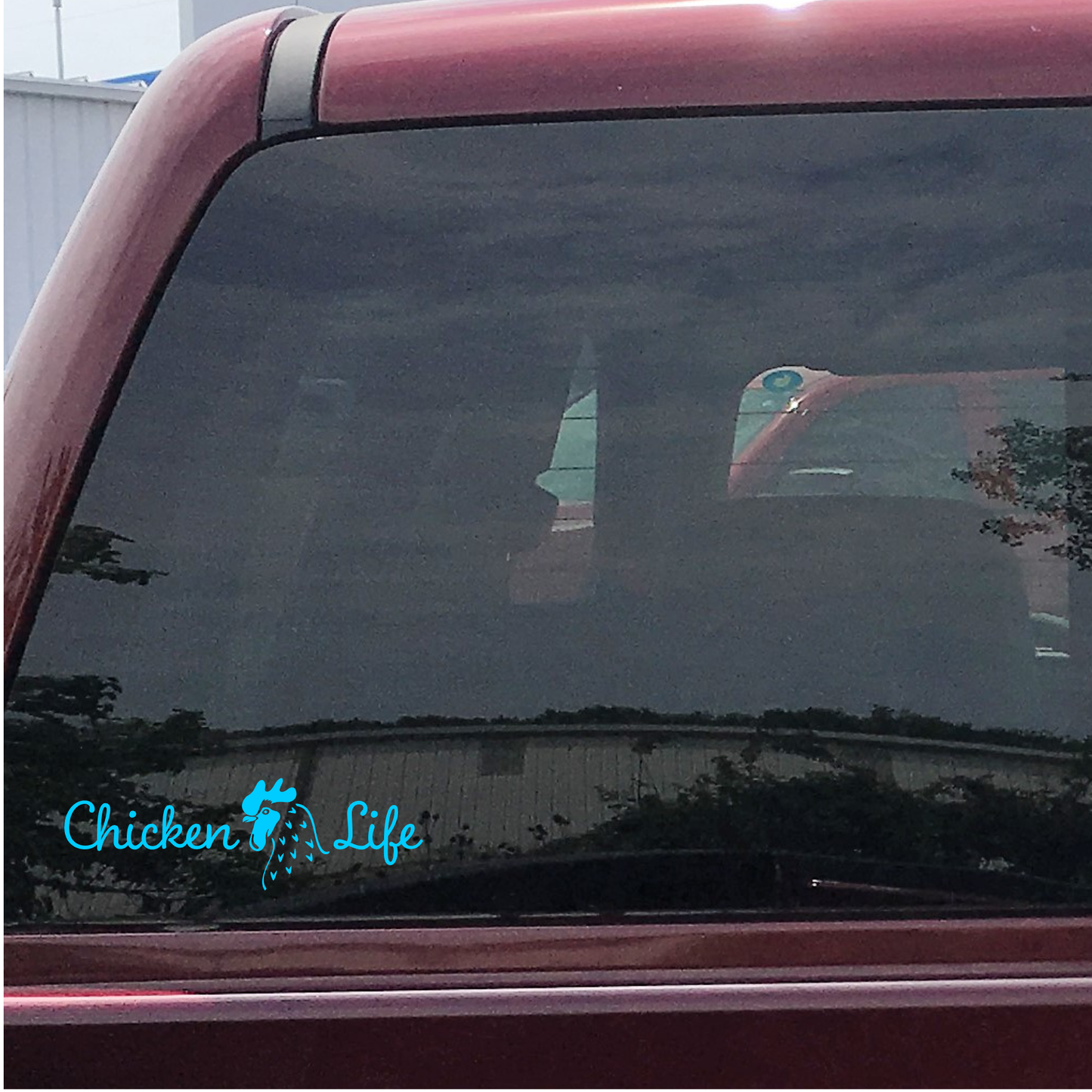 Chicken Life Car Decal