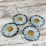 Rustic Daisy Car Coasters Set of 2