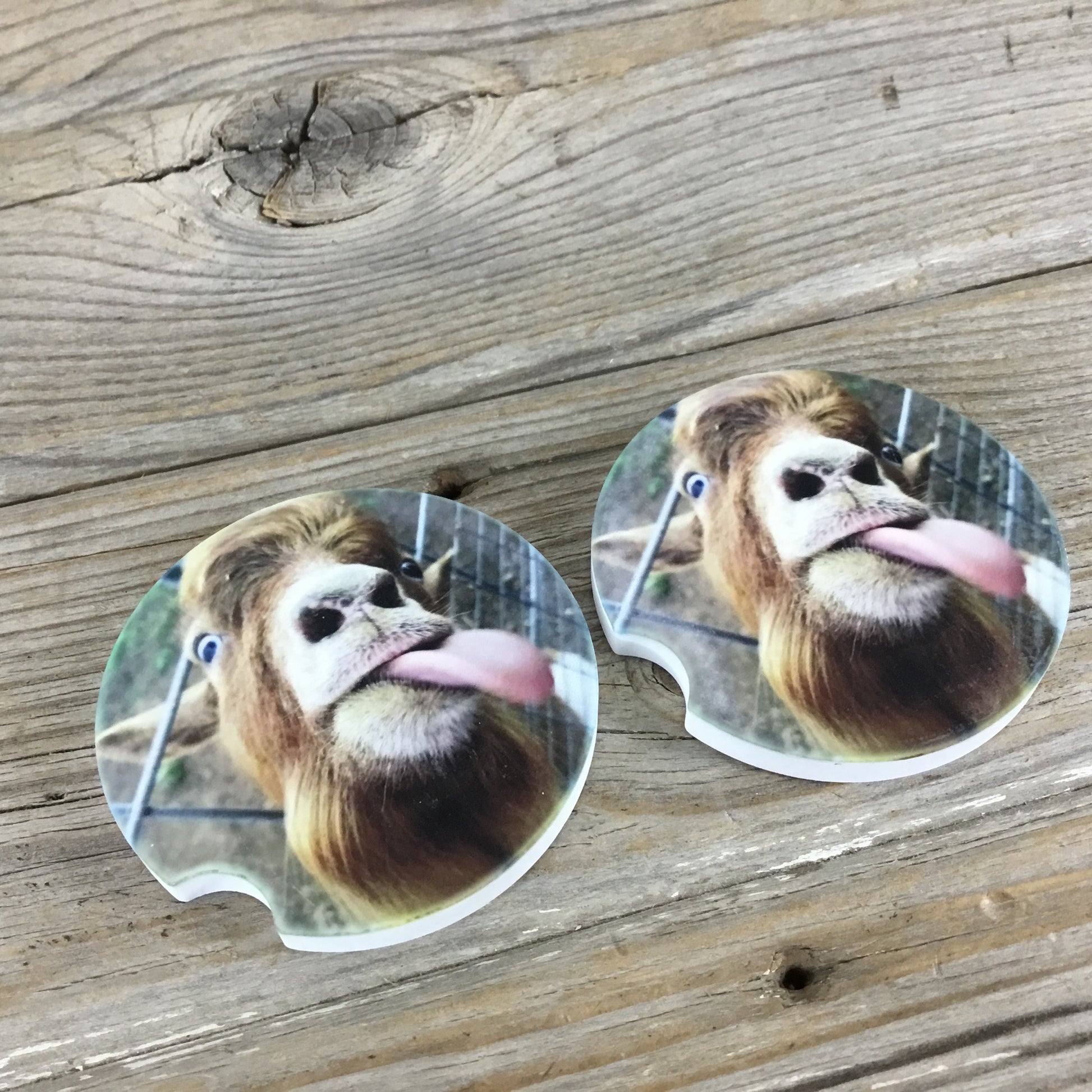 Licking Goat Car Coasters