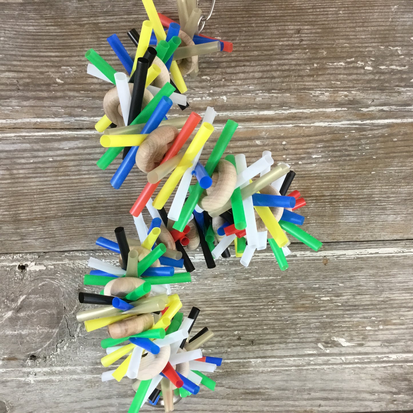 Medium Silly Sid Spiral Medium Bird Toy