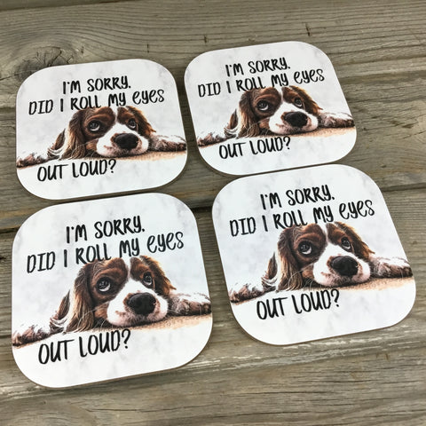 I'm sorry did I roll my eyes outloud? Coasters Set of 4