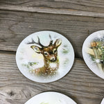 Winter Deer Buck Round Coasters Set of 4