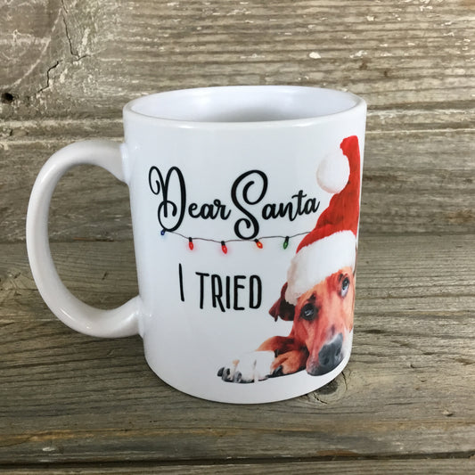 Dear Santa I Tried Mug