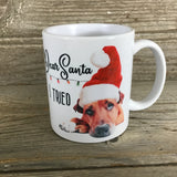 Dear Santa I Tried Mug