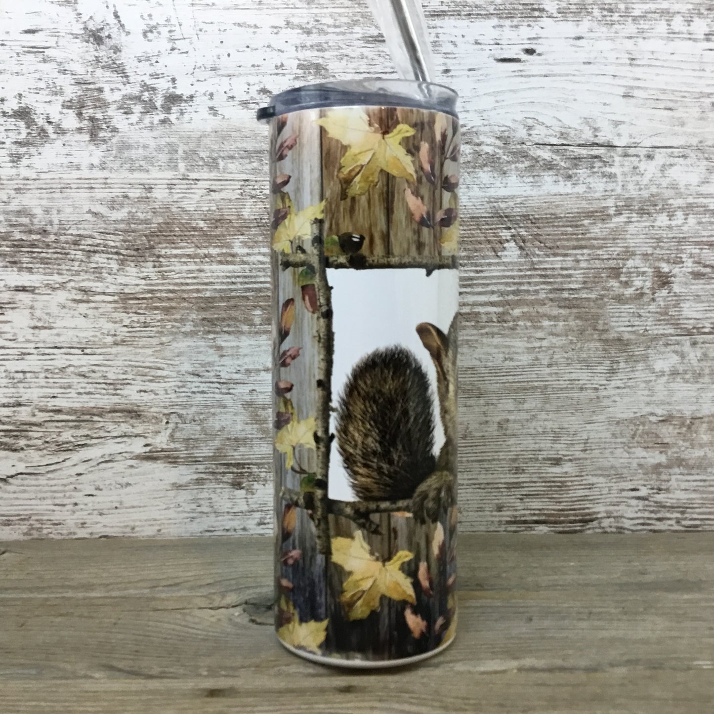 Squirrel 20 oz Skinny Tumbler with Straw & Lid