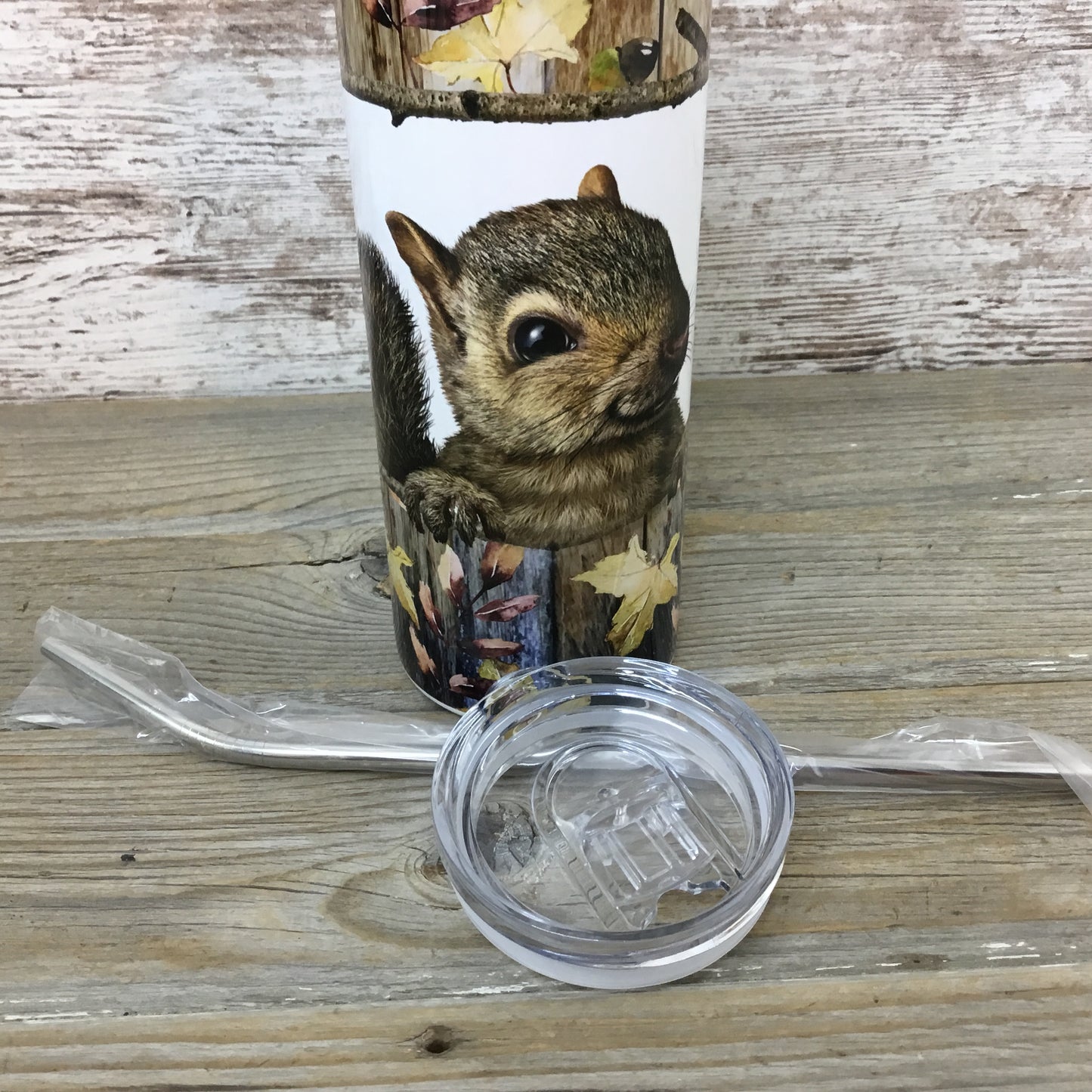 Squirrel 20 oz Skinny Tumbler with Straw & Lid