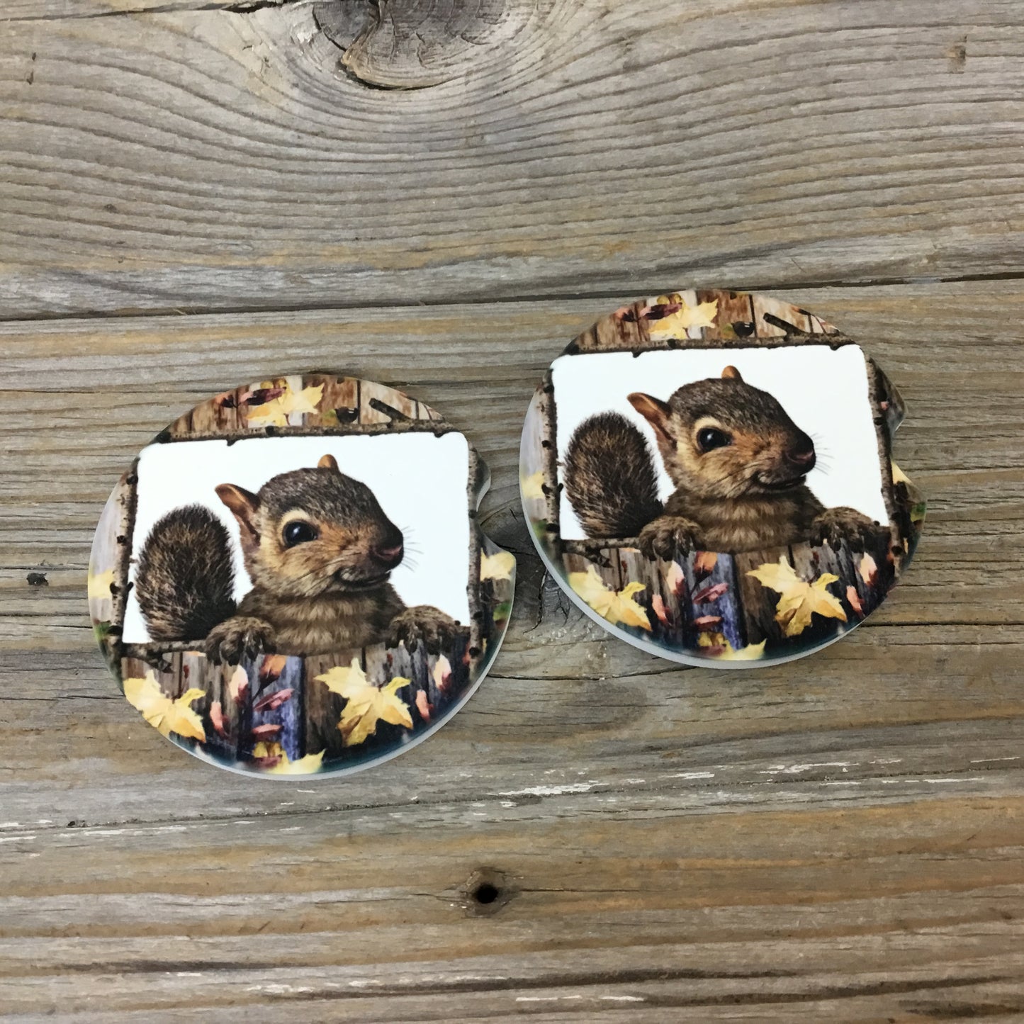 Squirrel Car Coasters, Set of 2