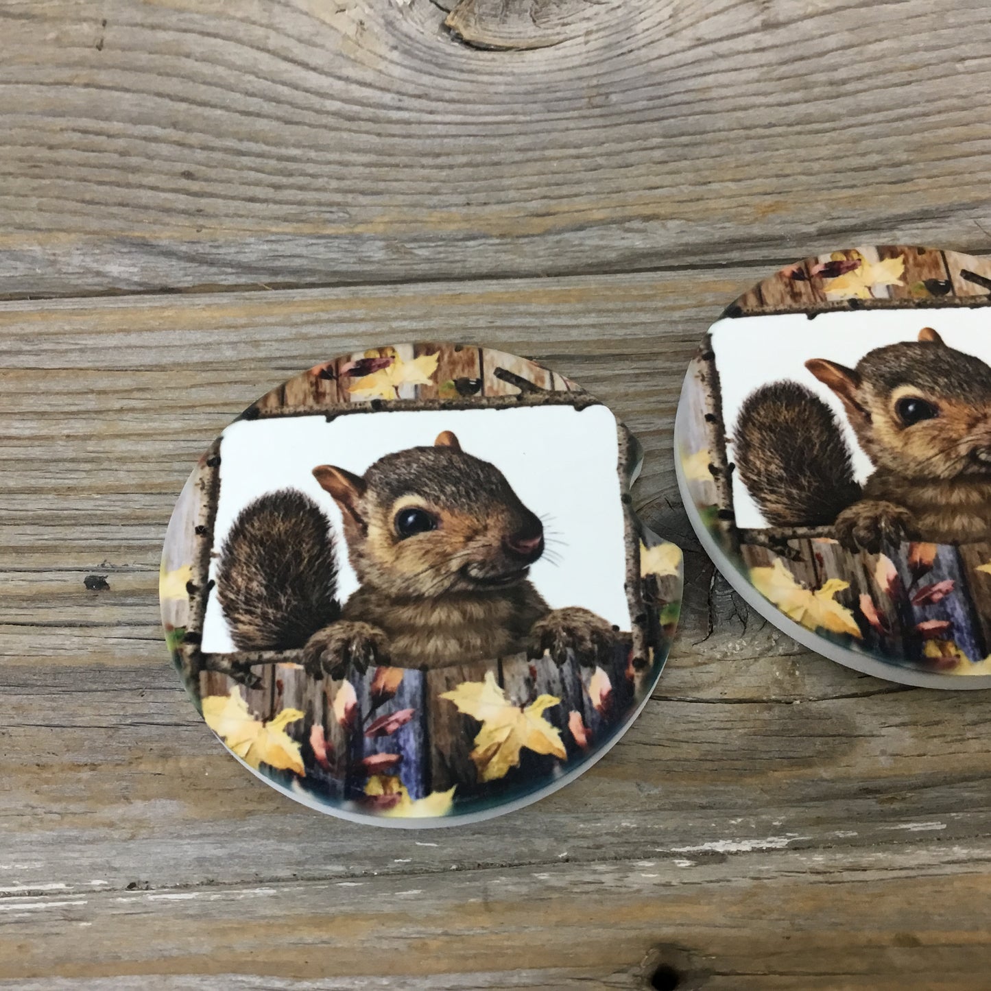 Squirrel Car Coasters, Set of 2