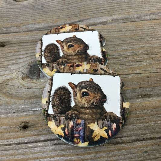 Squirrel Car Coasters, Set of 2