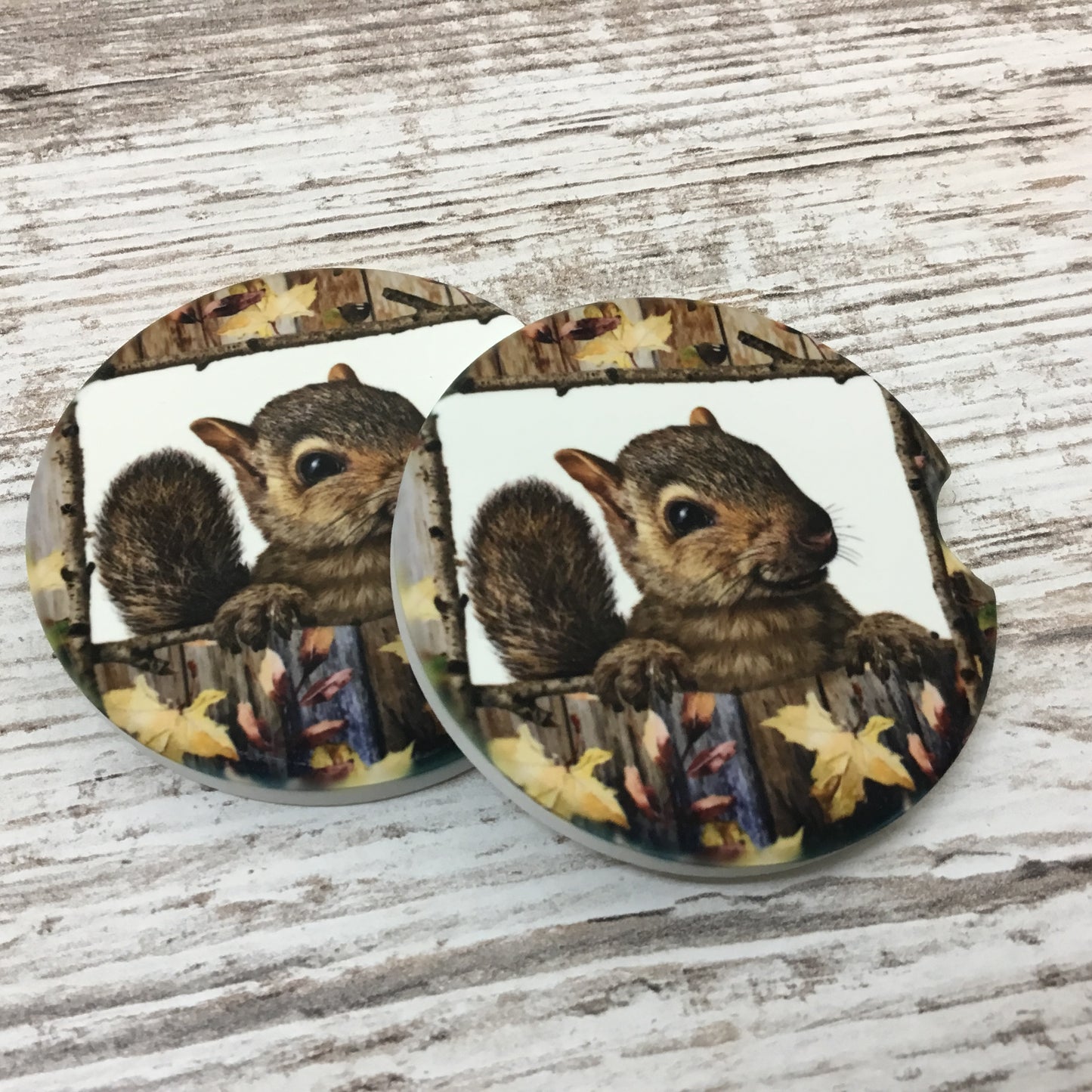 Squirrel Car Coasters, Set of 2