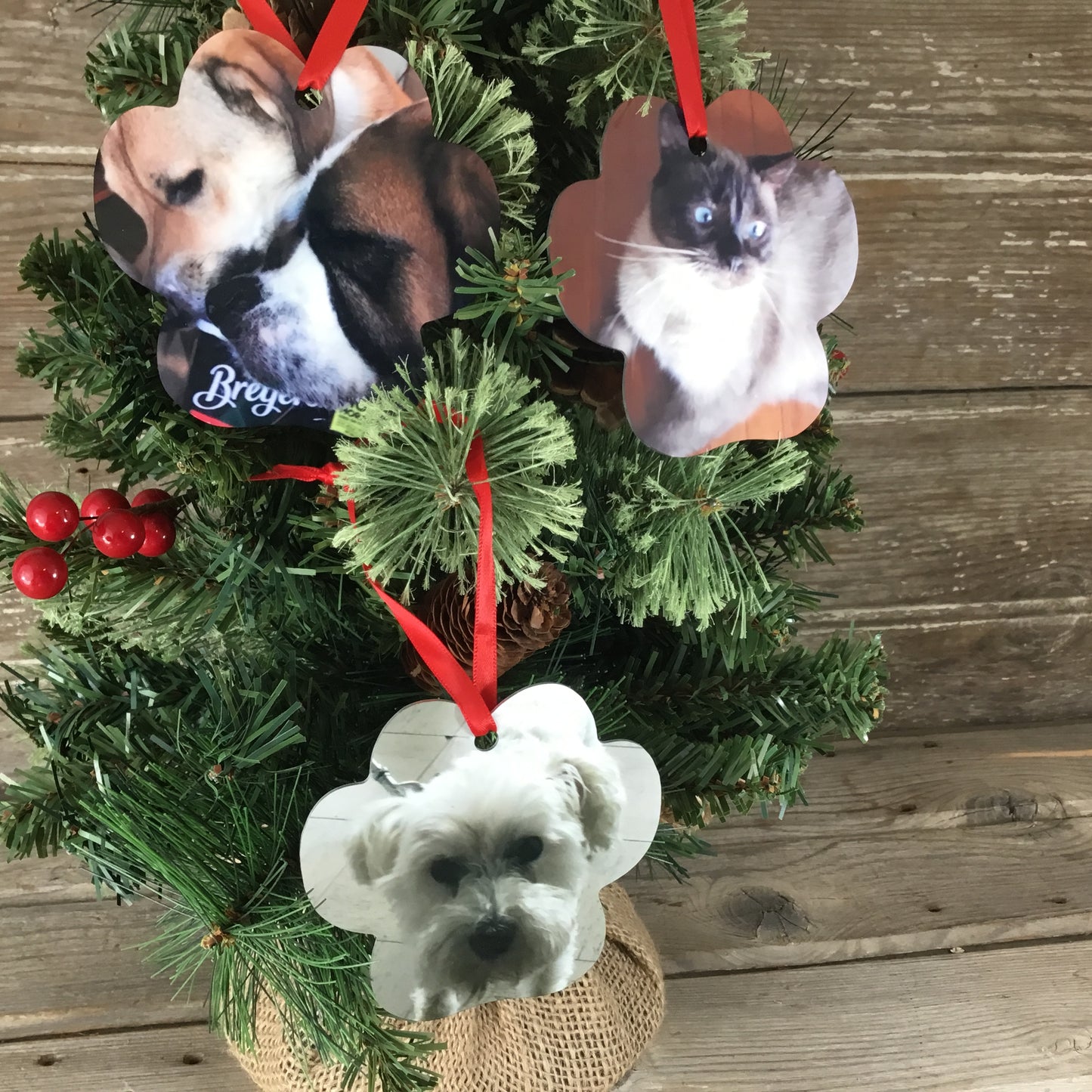 Pet Personalized Aluminum Photo Ornament