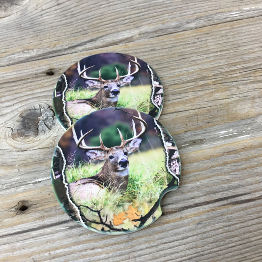 Buck Deer Car Coasters