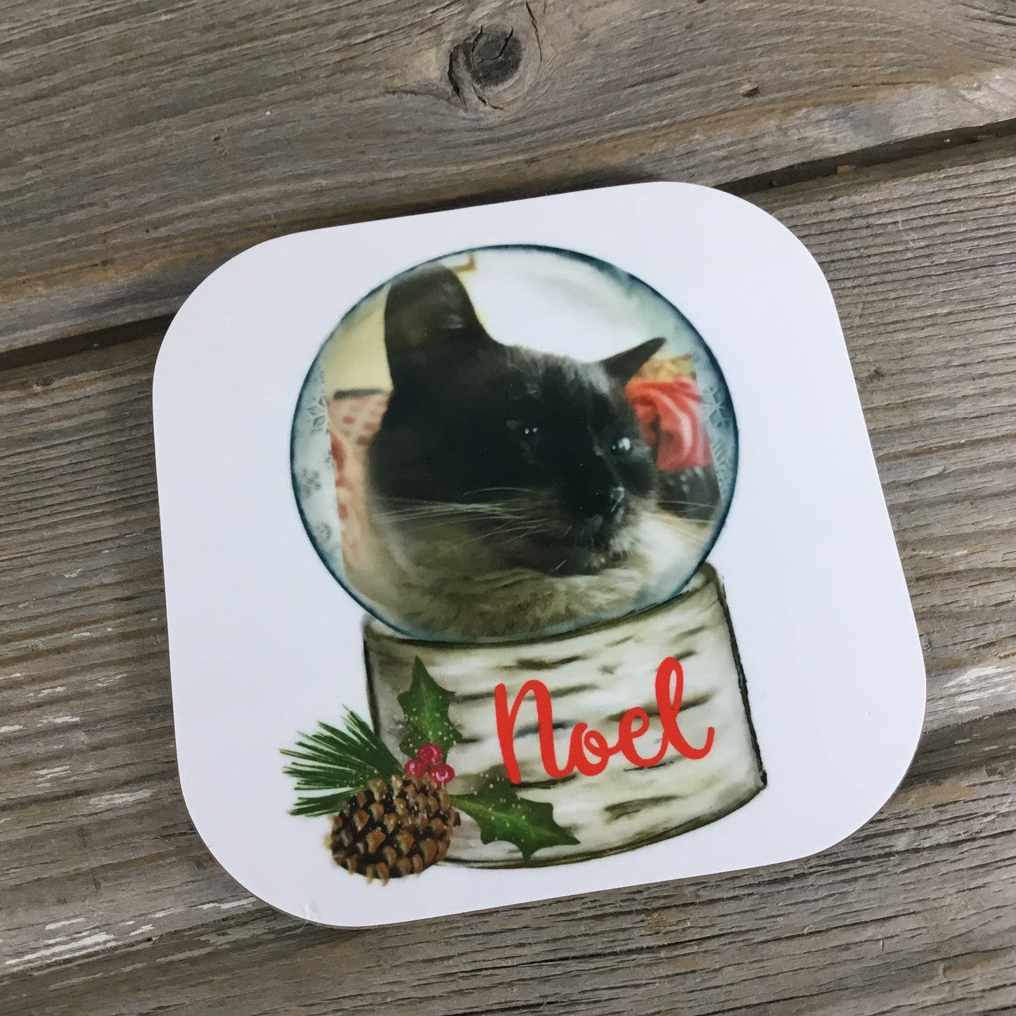 Personalized Snow Globe Christmas Coasters Set of 4