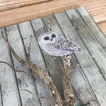 Owl Glass Cutting Board Barn Wood Background